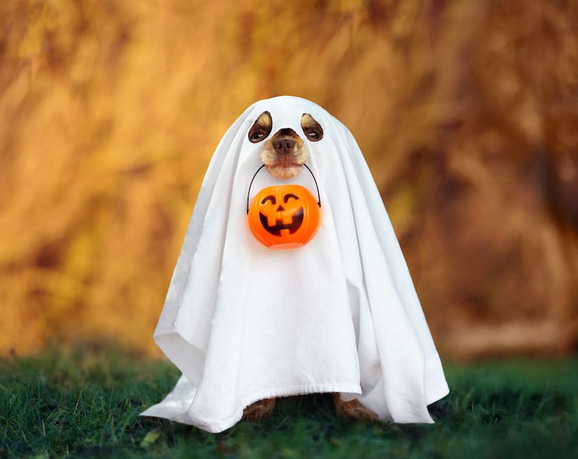 Question of the Week